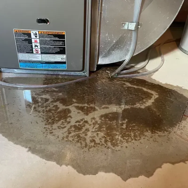 Appliance Leak Cleanup in Hopkins County, TX